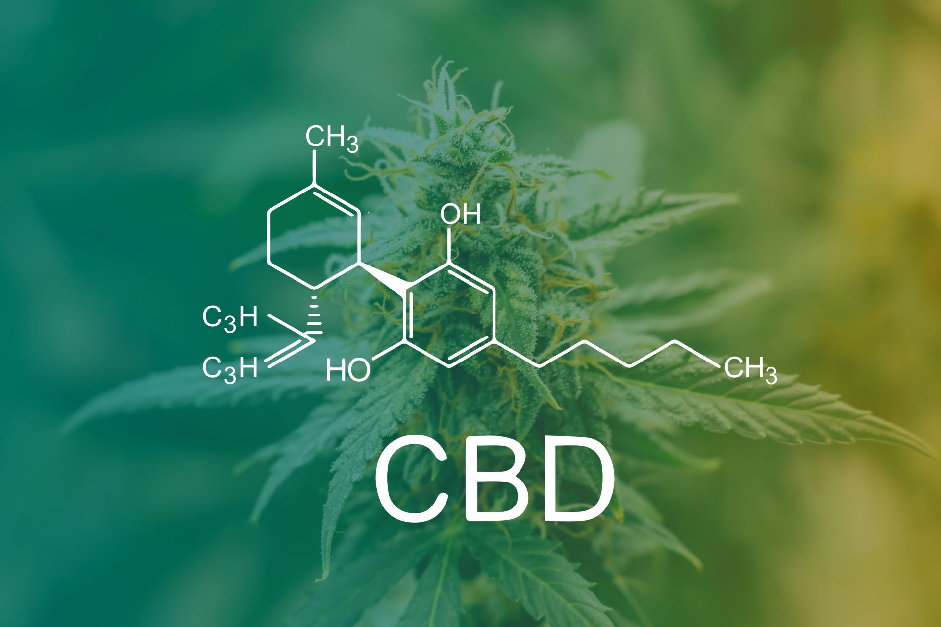 CBD-Strukturformel mit Hanfpflanze, Anwendung bei ADHS