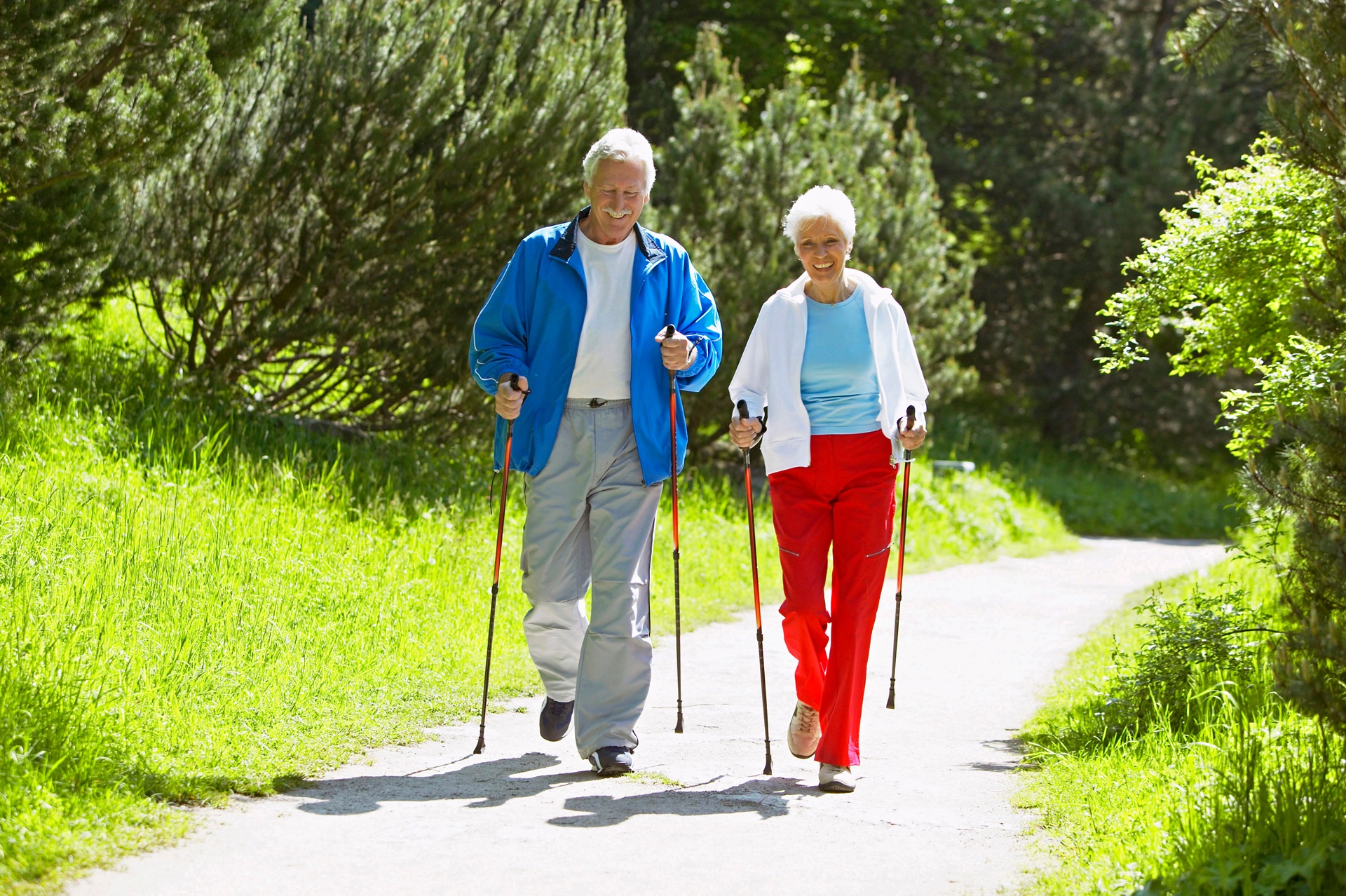 Nordic Walking im Wald, Thema Schlittschuhe als Bewegungstraining